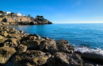 El sueño de Noctiluca - Photo 33