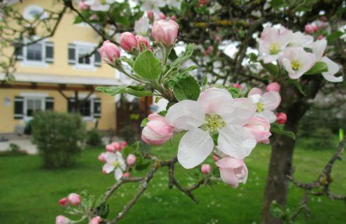Ferienhaus Mühlfeldner - Foto 7