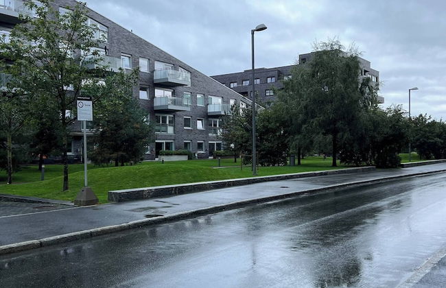 Stylish Seaview 4 Beds Central Apartment Sorenga - Photo 44