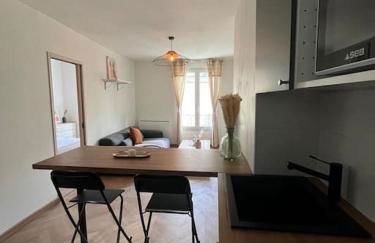 T3 cinéma - Centre historique, bord de Loire - Foto 9