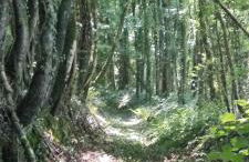 Dépendance du château de Remehan rénovée avec goût - Foto 13