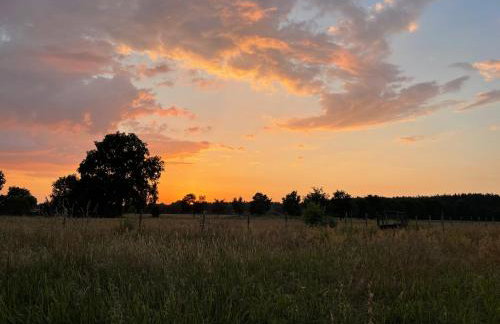 Ferienhaus in ehemaliger Scheune - Foto 4