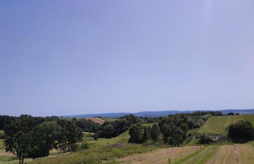 Agroturystyka Zdolina - Foto 51