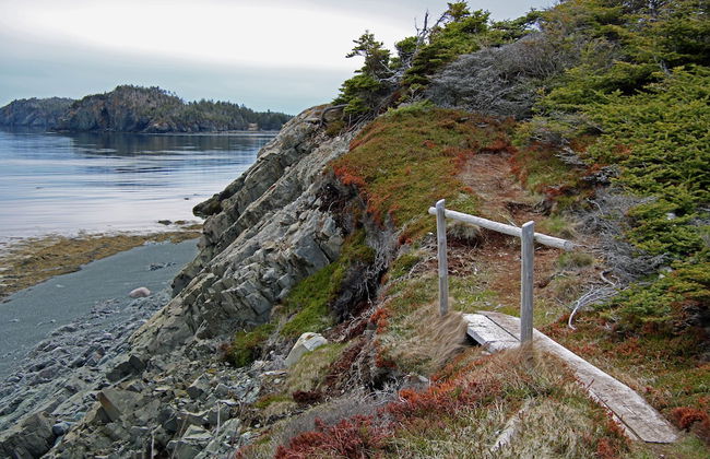 The Killick Inn & Suites - Foto 47