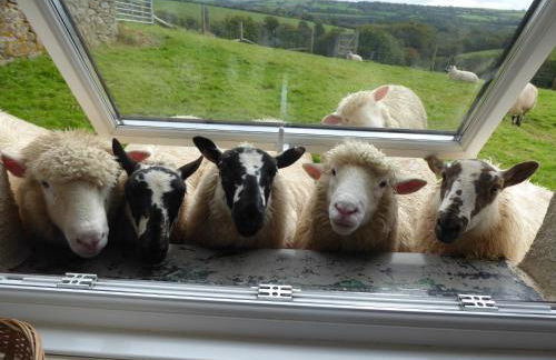 Dartmoor Eco-Pod - Oak Tree Lane - Foto 48