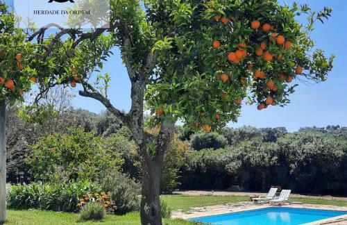 Herdade da Ordem - Foto 21