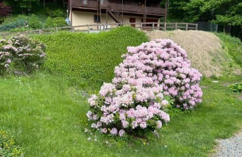 Eagles Nest on Seven Devils - Foto 45