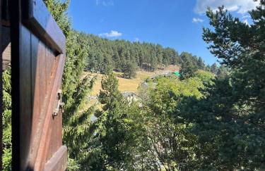 Aux trois marmottes - Chalet au pied des pistes - Foto 34