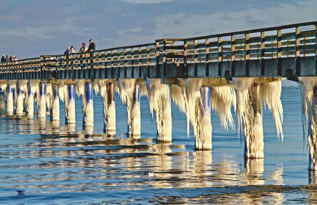 Bright Apartment in Boltenhagen near Sea - Photo 25
