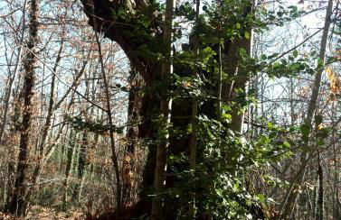 Casa Ricciardi - Foto 48