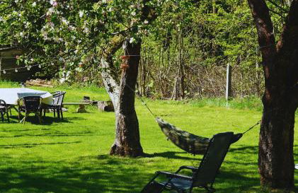 Bukowe Zacisze - Foto 26