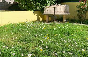 Villa Soraya Nice - Sunny appartment Cote d'Azur with large garden - Foto 15