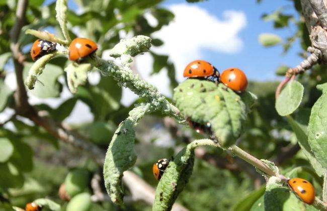Agriturismo Cuca - Photo 12