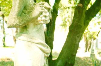 Agriturismo Villa Trovatore - Foto 45