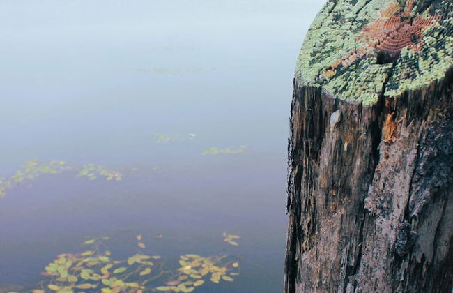 Ship's Wheel Resort - Foto 30