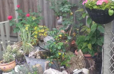 The LITTLE HOUSE in HULL - Foto 38