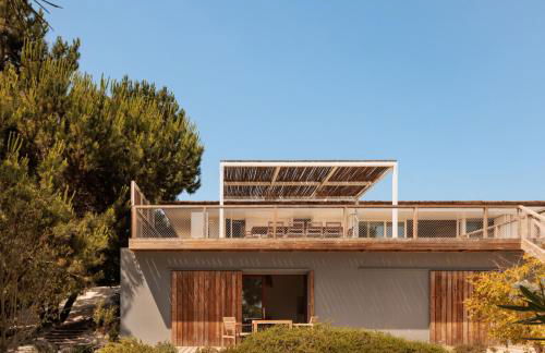 Campo de Arroz - Foto 6