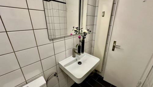 Spectecular Rhineview Fair Parking Luxury 12 Pers - Foto 5