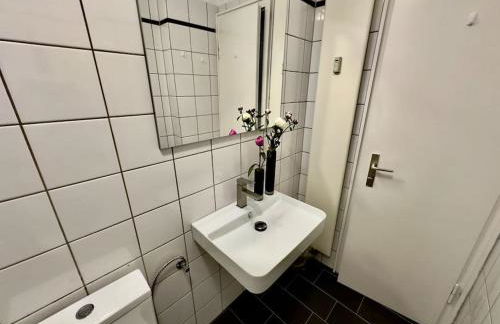 Spectecular Rhineview Fair Parking Luxury 12 Pers - Foto 5