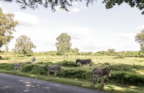 Oakapple Cottage - Photo 46