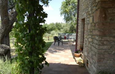 Scappo in Umbria, Le Salce - Foto 44