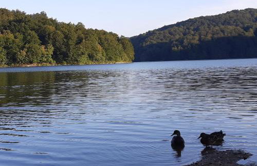 Apartman Laura - Foto 22