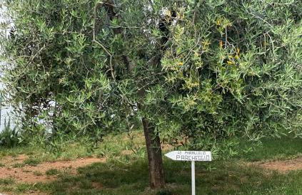 43° Parallelo - Foto 22