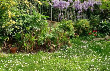 Creativ hause - Foto 17