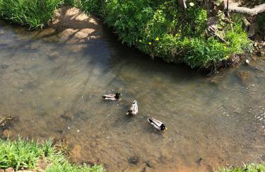 Carre Retreat with private hot tub - Photo 11