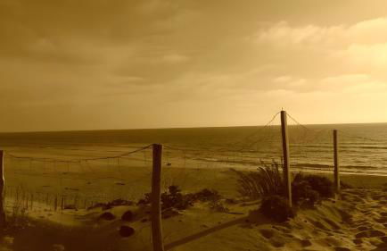 Joli Petit Chalet La Cote d'Argent - Foto 23