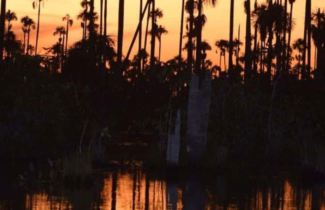 Piranha Fishing and Bird Watching Tour - Foto 1