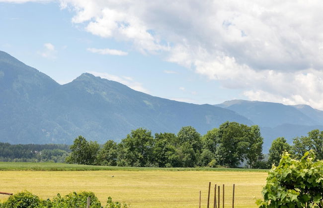 Apartment in Seeboden by Lake Millstatt - Photo 38