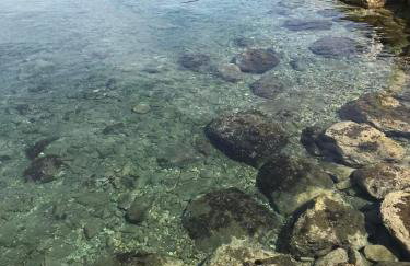 AFISSOS-DREAM 3STUDIOS - Photo 54