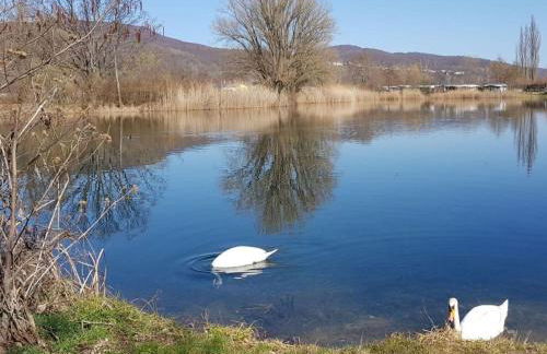 Lovely Apartment in Hesse - Foto 42