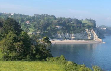 Escape Pod in Devon, 5 mins from beach + parking - Foto 54