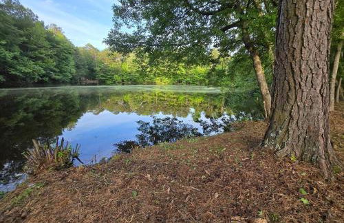 Serenity ASHLEY ENTERPRISE - Foto 16