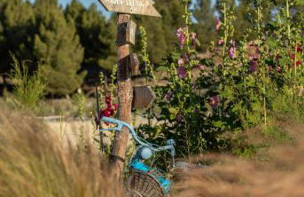 Complejo Cuevas Otto - Photo 19