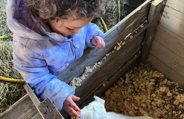 Amish Country Stay w/ Buggy Ride - Foto 33