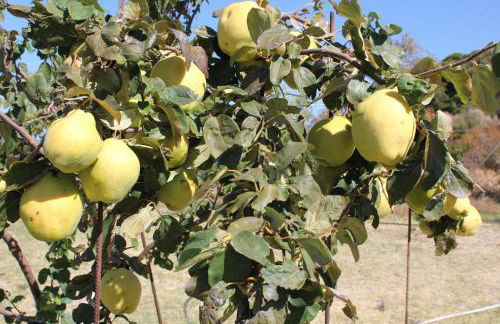 Boutique apartments Myesis - Foto 56