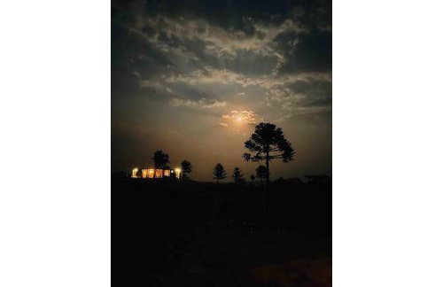 Casa de Vidro - Foto 79