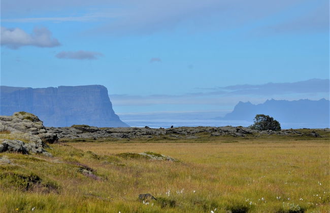 Stracta Apartments - Foto 24