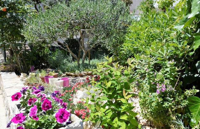 Sea View Apartment on Walking Distance to sea - Foto 42