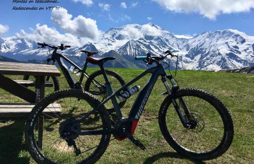 Appartement T2+cabine indépendante au départ des télécabines Saint-Gervais/Bettex/Mont d’Arbois - Foto 47