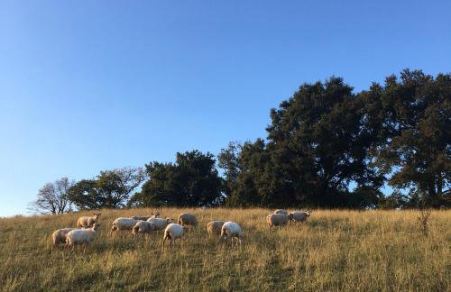 Haixpia, Le Gîte - Foto 27