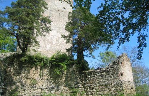 Ferienhaus Seeperle - Foto 17