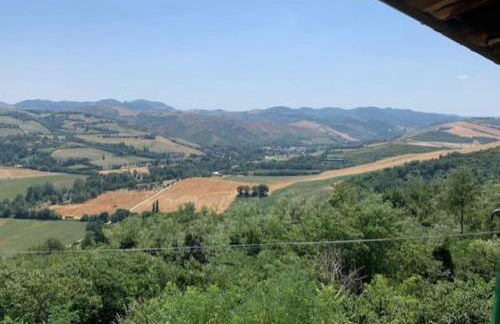 Casale IL SAMBUCO sui colli bolognesi - Foto 31