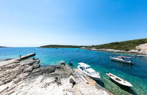 Apartments Dalmatino - Foto 61