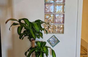 Cisterna - Loft con giardino - Foto 28