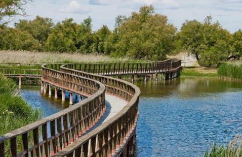 Vivienda La Manola - Foto 13