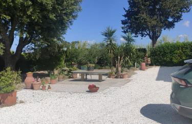 Il Leccio Agriturismo - Foto 32